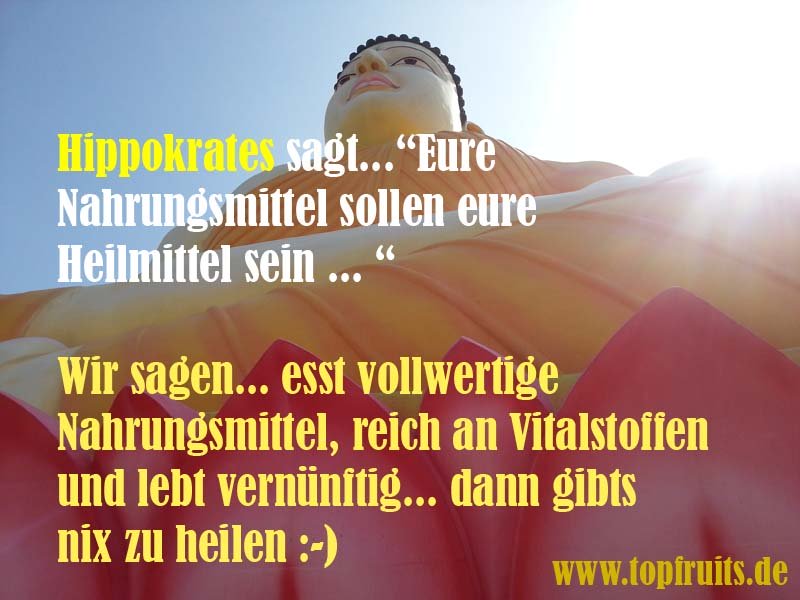 Hippokrates Spruch