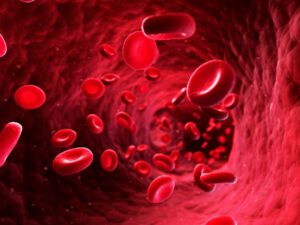 Arsen: die Verstärkte Bildung der roten Blutkörperchen