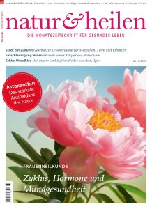 Titelbild Juli-Heft 2026
