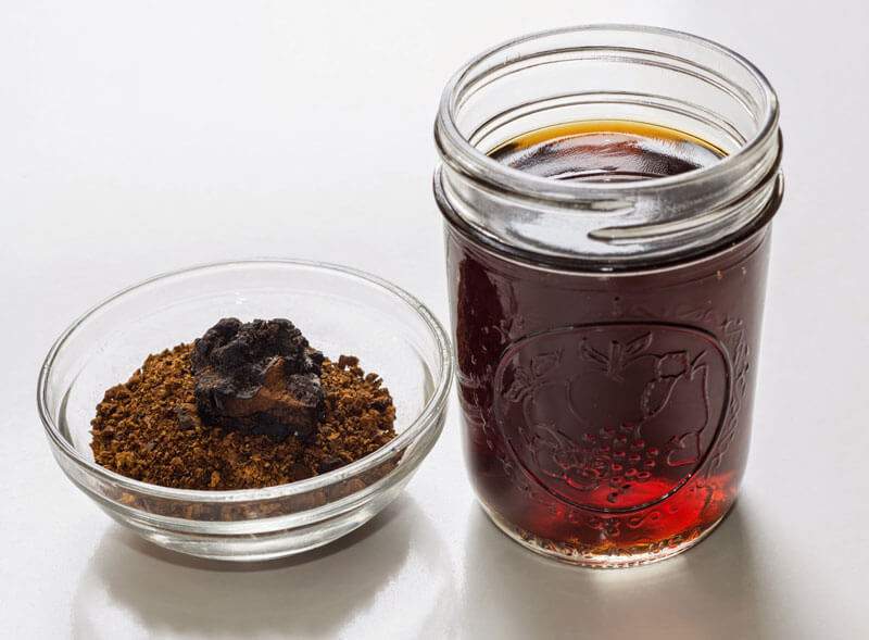 Chaga