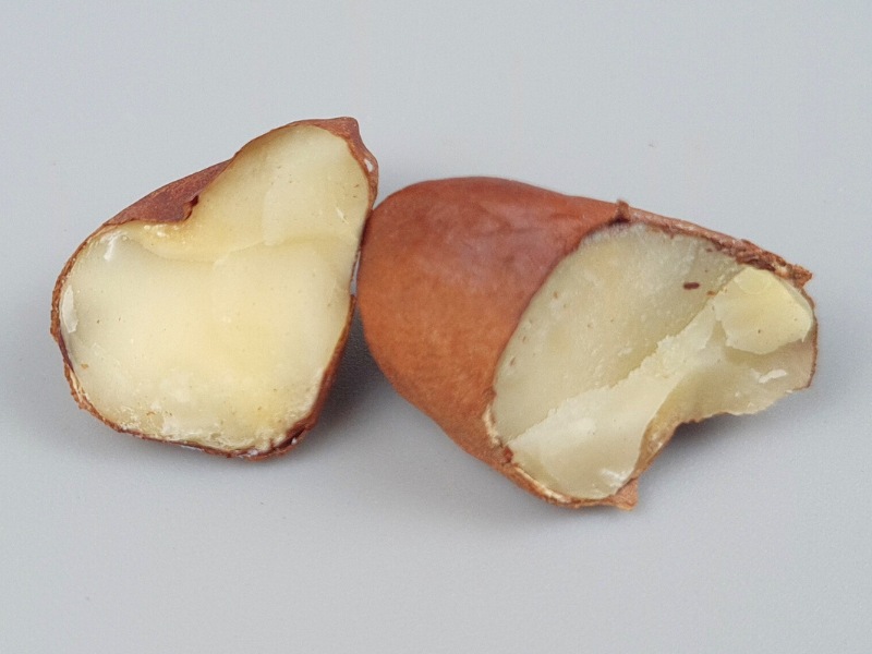 Pili Nuss von innen