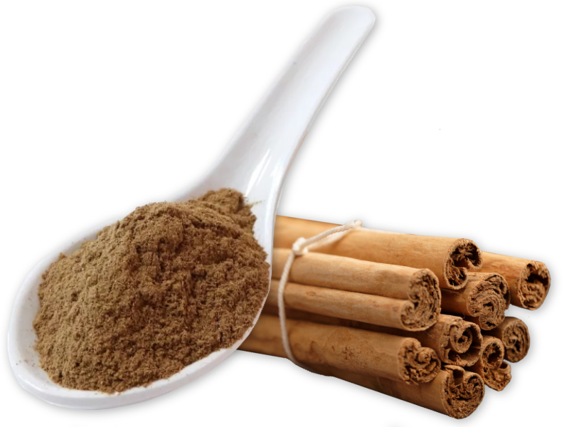 Ceylon Zimt gemahlen, Bio kbA