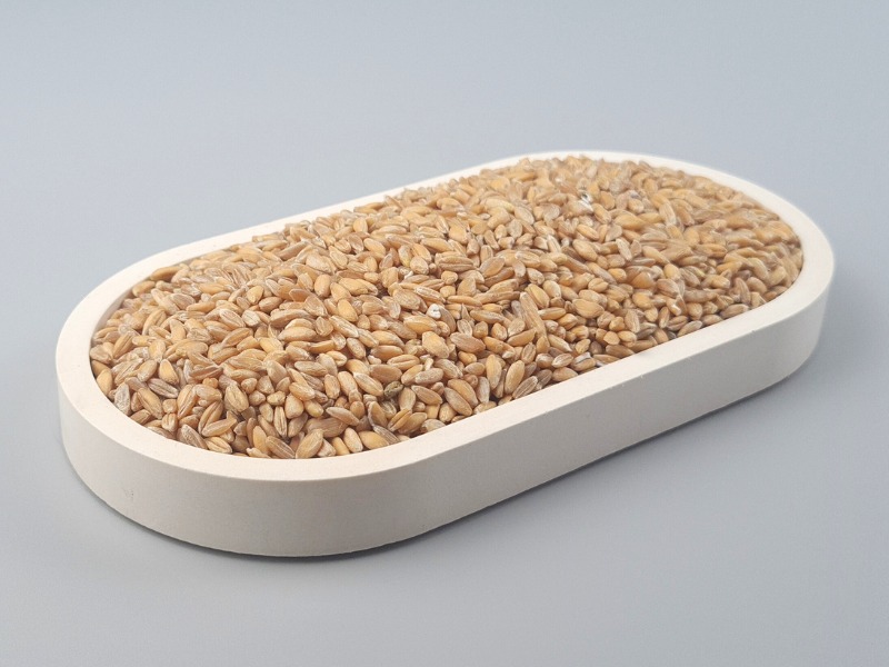 Emmer, Bio Urgetreide, ganzes Korn, 100% Natur