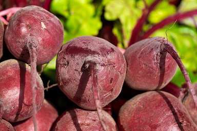 Rote-Bete-Pulver-aus-ganzen-Knollen