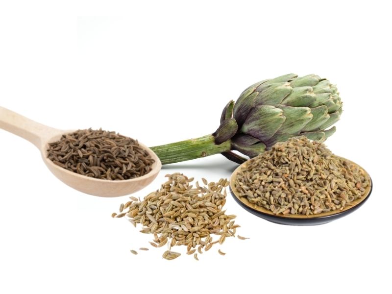 Inhaltsstoffe Blähbauch Ex