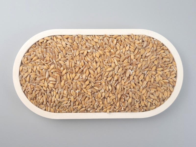 Emmer bio Getreide in der Schale von oben