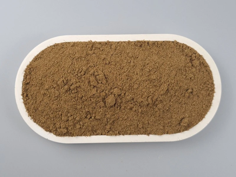 Bio Kümmel gemahlen in einer Schale