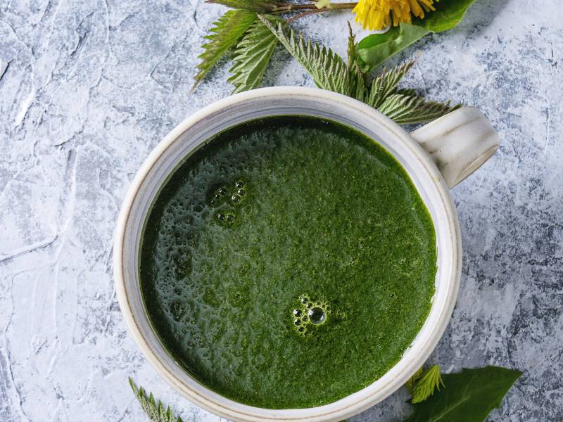 Brennesselpulver Smoothie