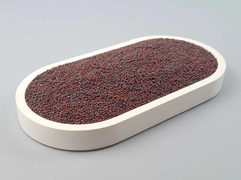 Brokkolisamen, bio kbA, Broccoli Sprossen, Brokkoletti  -  hoher Sulforaphangehalt