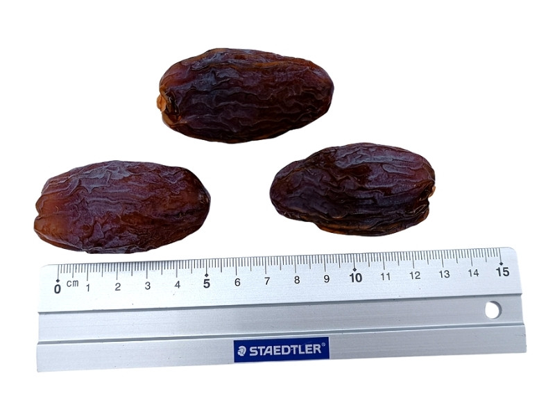 Jumbo Datteln Medjool mit Maßstab