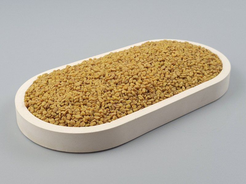Bio Bockshornklee, Trigonella foenum graecum L., ganze Samen zum Keimen