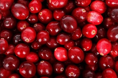 Frische-Bio-Cranberries