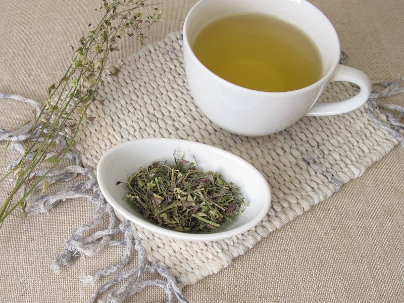 hirtentaeschelkraut-fuer-hirtentaeschel-tee