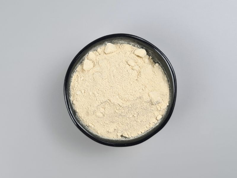Sonnenblumenlecithin Pulver in der Schale