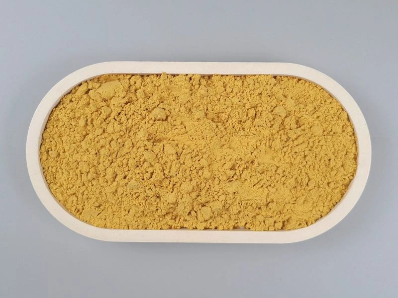 Sanddornpulver in weißen Schale von oben 