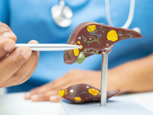 So fördern Sie Ihre Gesundheit mit einer Leberreinigung