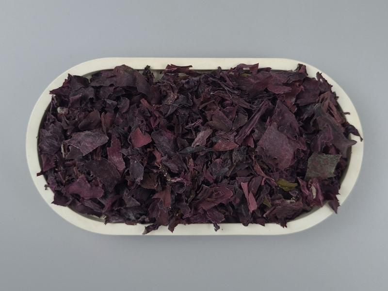 Dulse Algen Nahaufnahme