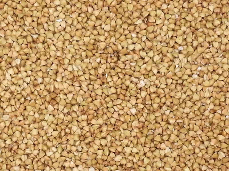 Buchweizen gekeimt bio