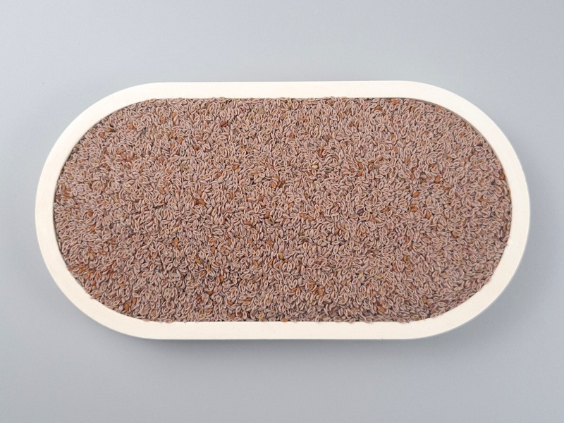 Bio Flohsamen in einer Schale von oben