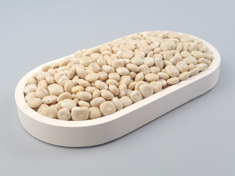 Lupinensamen ganz, Bio kbA, von der weißen Süßlupine, keimfähig