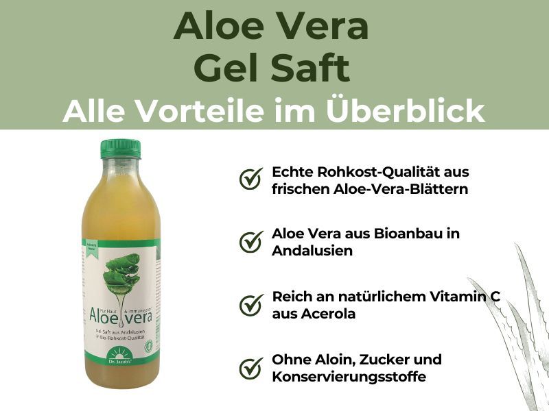 Aloe Vera Direktsaft Bio Vorteile