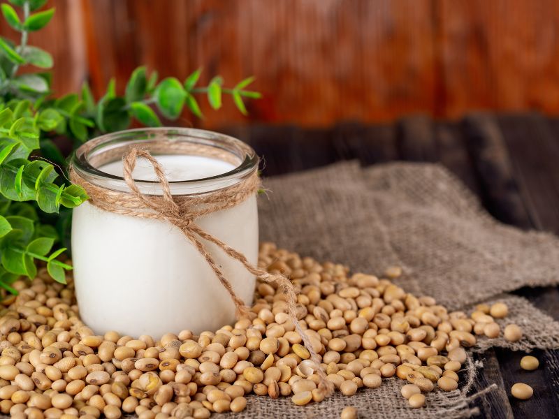 vegane-joghurtkulturen-zum-joghurt-selber-herstellen vegane Joghurtkulturen zum Joghurt selber herstellen
