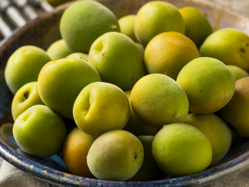 frische-ume-fruechte-fuer-umeboshi-aprikosen