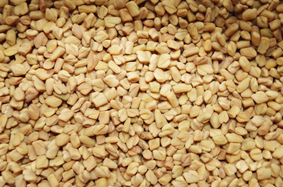 fenugreek-1049596_960_720