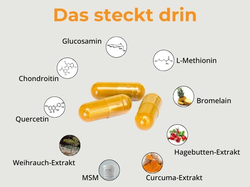 Gelenk Aktiv Forte Kapseln Inhaltsstoffe