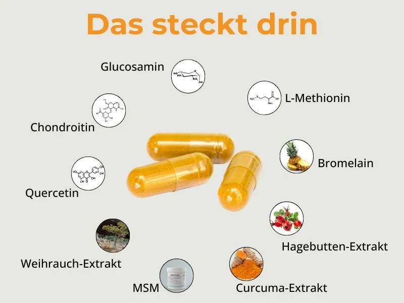 Gelenk Aktiv Forte Kapseln Inhaltsstoffe