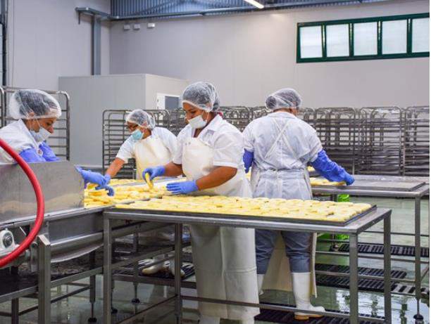 Ananasproduktion_CR_3