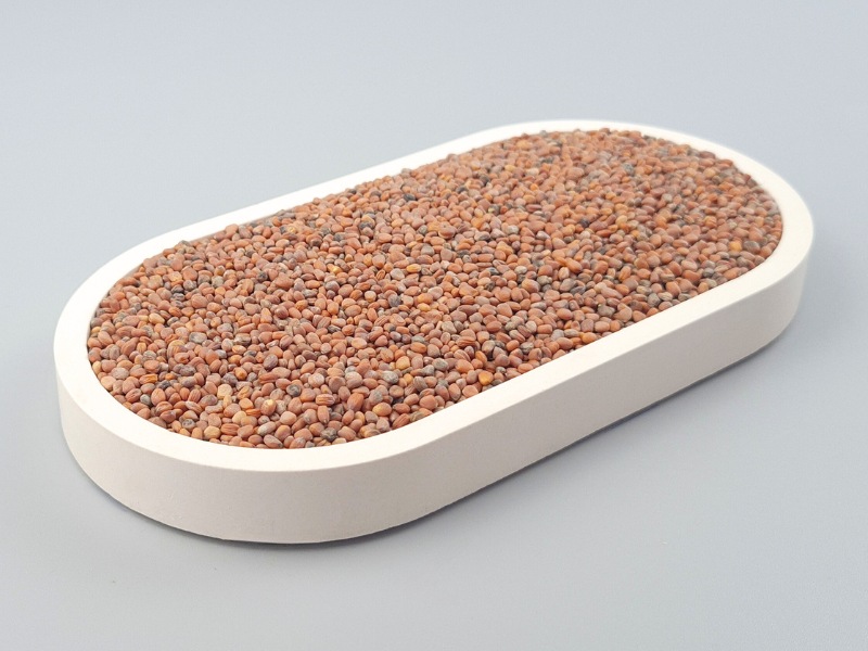 Radieschensamen, Bio kbA - 250g, für pikante Keimsprossen