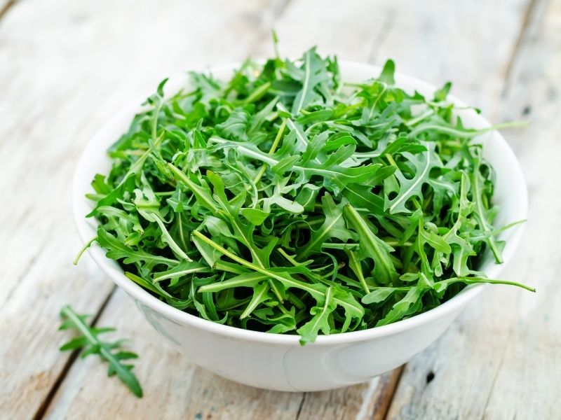 Rucola