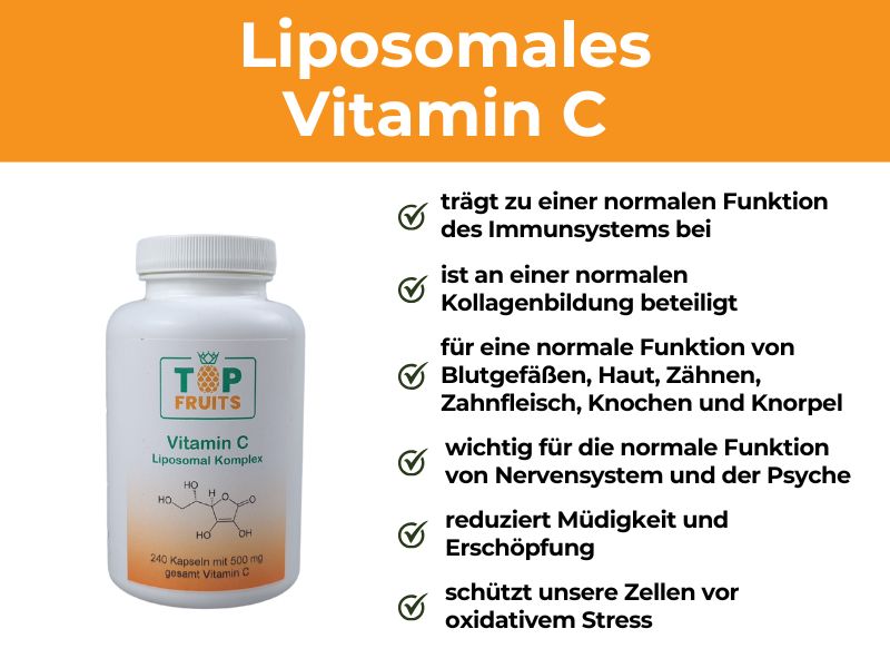 Liposomales Vitamin C - Infografik