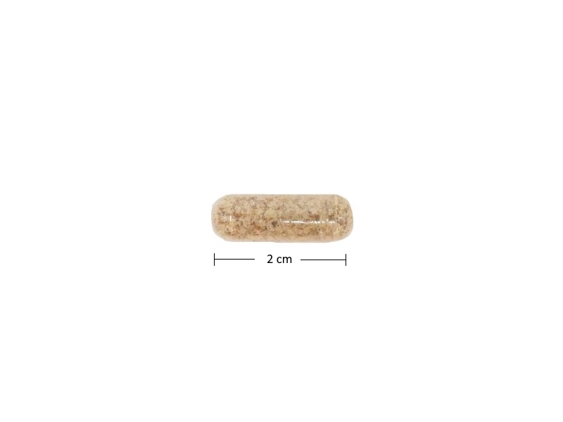Mariendistelsamen - 120 vegane Kapseln á 340 mg Mariendistelsamenmehl, Leberkraft