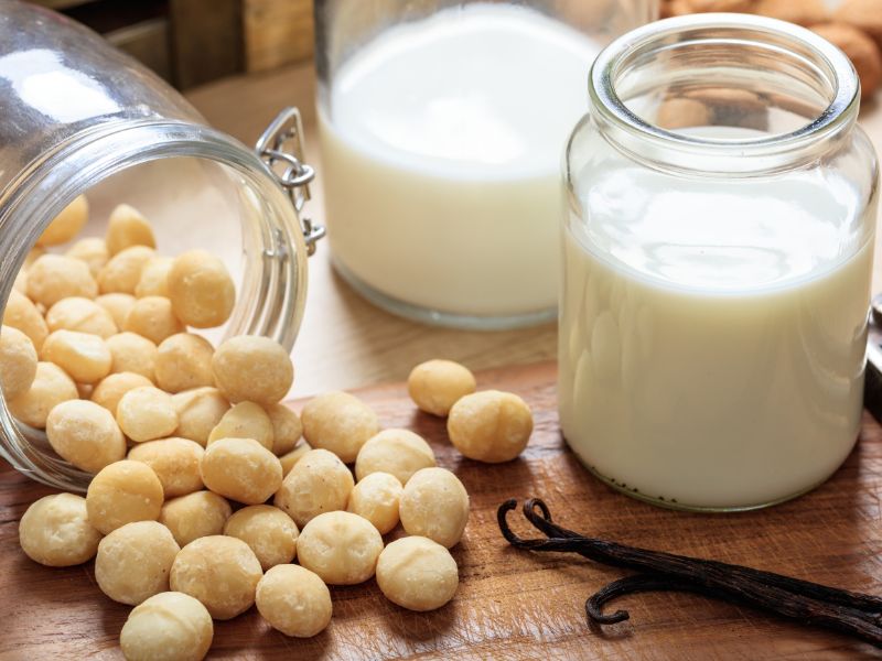 Macadamia Nusskerne Milchalternative