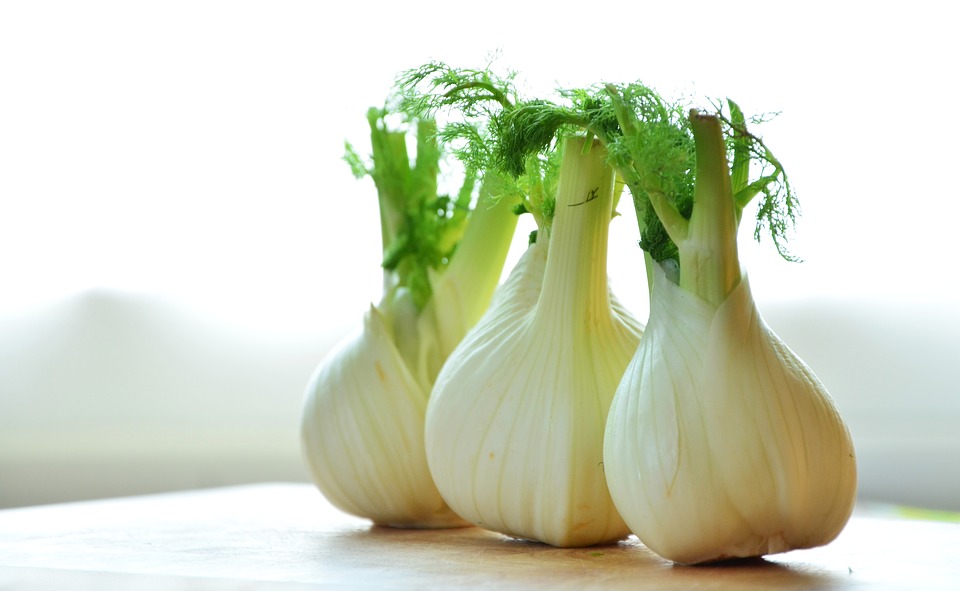 Fenchel Bitterstoffe