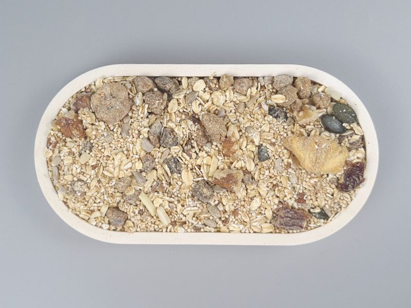 Amaranth Vital-Müsli "Exotikfrucht Plus NUss" in der Schale von oben