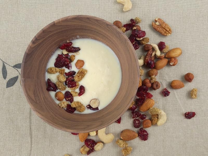 joghurt-aus-joghurtstarterkultur-vegan Joghurt aus Joghurtstarterkulturen vegan