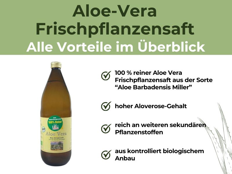 Aloe Vera Frischpflanzensaft Vorteile
