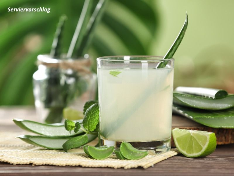 Bio Aloe Vera Saft - Serviervorschlag