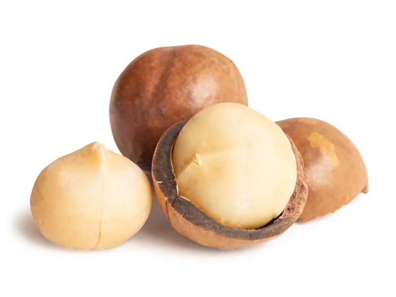 Macadamia Nuss mit Schale
