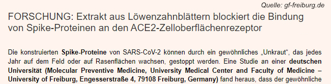 Eine Studie an einer deutschen Universität fand heraus, dass Löwenzahnblätter sogar die Bindung von Spike-Proteinen an ACE2-Zelloberflächenrezeptoren blockieren können.