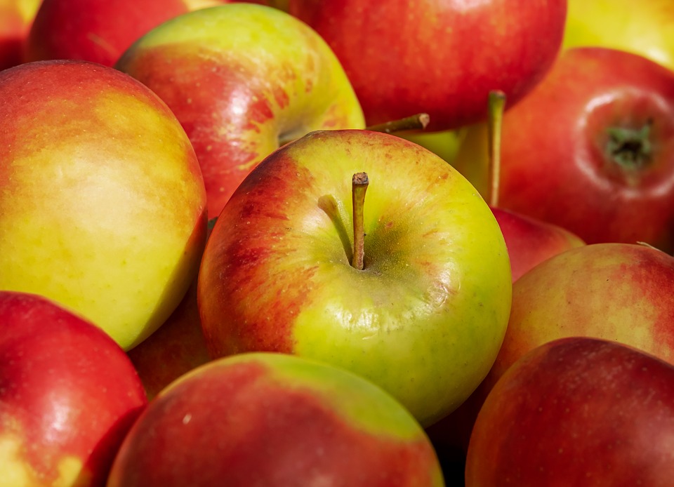 Elstar-Apfel-f-ur-unsere-Apfelchips-getrocknet