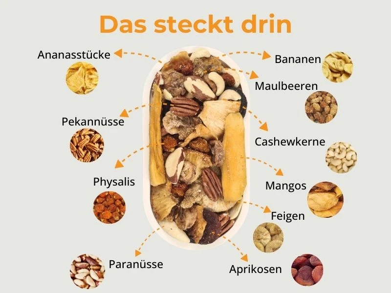 Energie-Mix - Das steckt drin