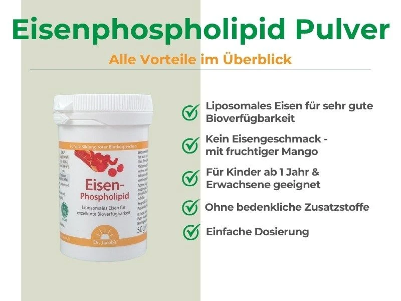Eisenphospholipid Pulver Vorteile