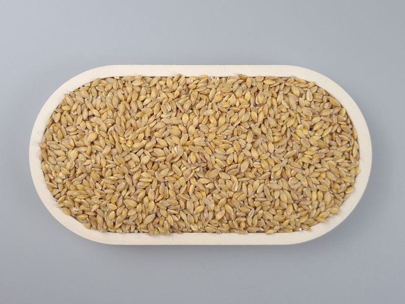 Bio Einkorn - Urgetreide - ganzes Korn - in der Schale von oben