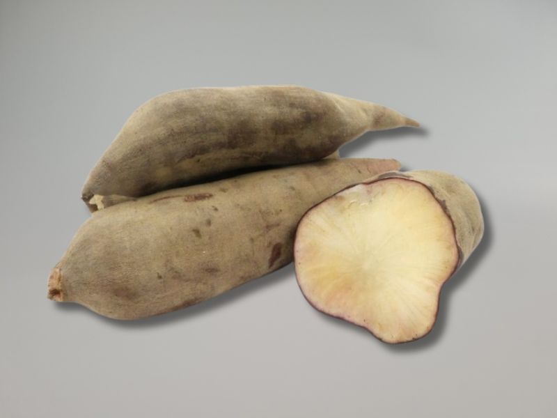 Yacon Wurzel frisch, Yakon, Inkawurzel, Smallanthus sonchifolius, inulinreich, deutscher Anbau