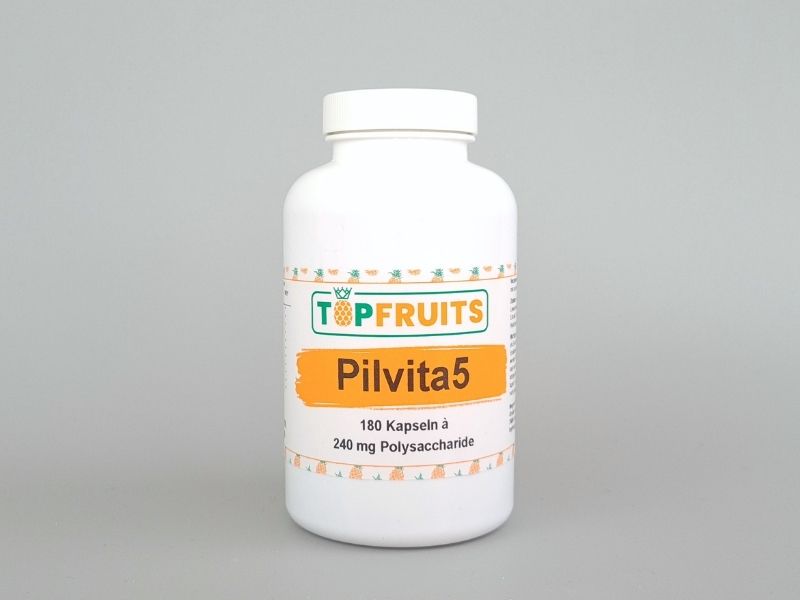 Pilvita Vitalpilz Kapseln Dose