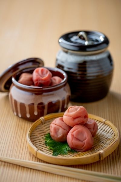 Umeboshi Salz Aprikosen